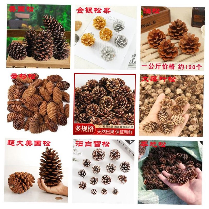 Pine Tree Christmas decoratAion Pinecone flower DIY 圣诞松果