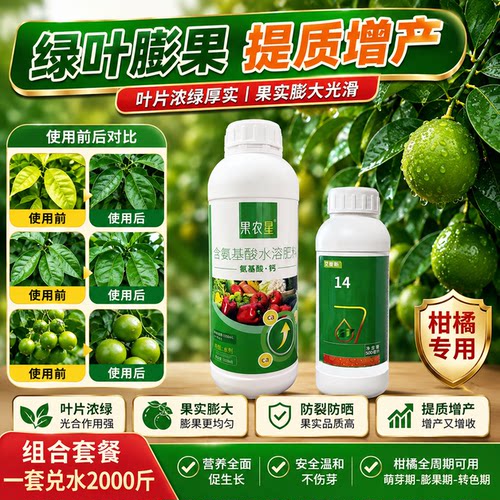 柑橘专用膨果绿叶肥氨基酸叶面肥