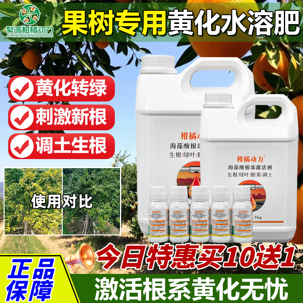 柑橘動力根部激活劑黃化樹克星