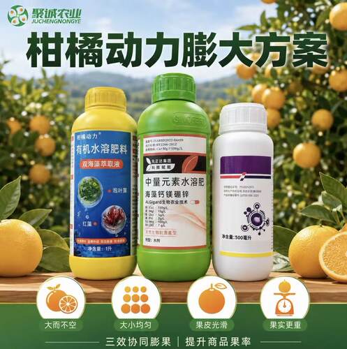 柑橘膨大专用海藻水溶肥防裂增甜