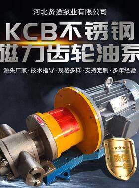 厂家供应齿轮抽油泵304工业用输送泵KCB83.3电动不锈钢磁力齿轮泵