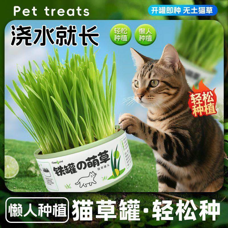 猫500g一斤装水培土培种