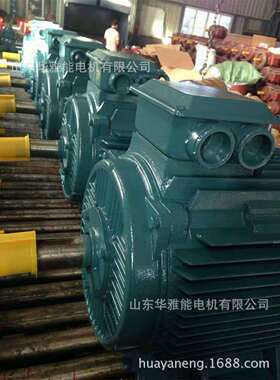 华雅能BM-225S-4-37KW电机替代六安电机TH户外防腐F2特殊环境
