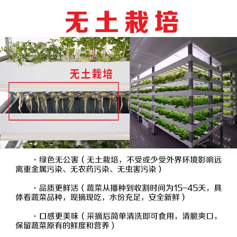 室内水培种菜机 无土栽培种植机 智能种菜机植物工厂设备包邮