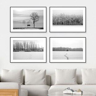 黑白风景装饰画h小众艺术客厅高级感挂画卧室床头餐厅背景玄关壁