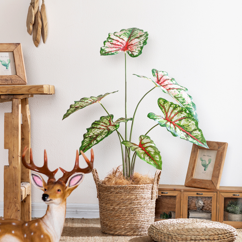 仿真绿植假植物盆栽彩p叶芋客厅家居沙发轻奢装饰室内落地盆景摆