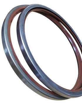 水泥厂辊压机专用大型SA骨架油封电厂轴封氟胶骨架260*290*15