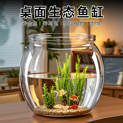 桌面生态鱼缸透明耐摔客厅办公室桌面金鱼水培绿植小型生态造景缸