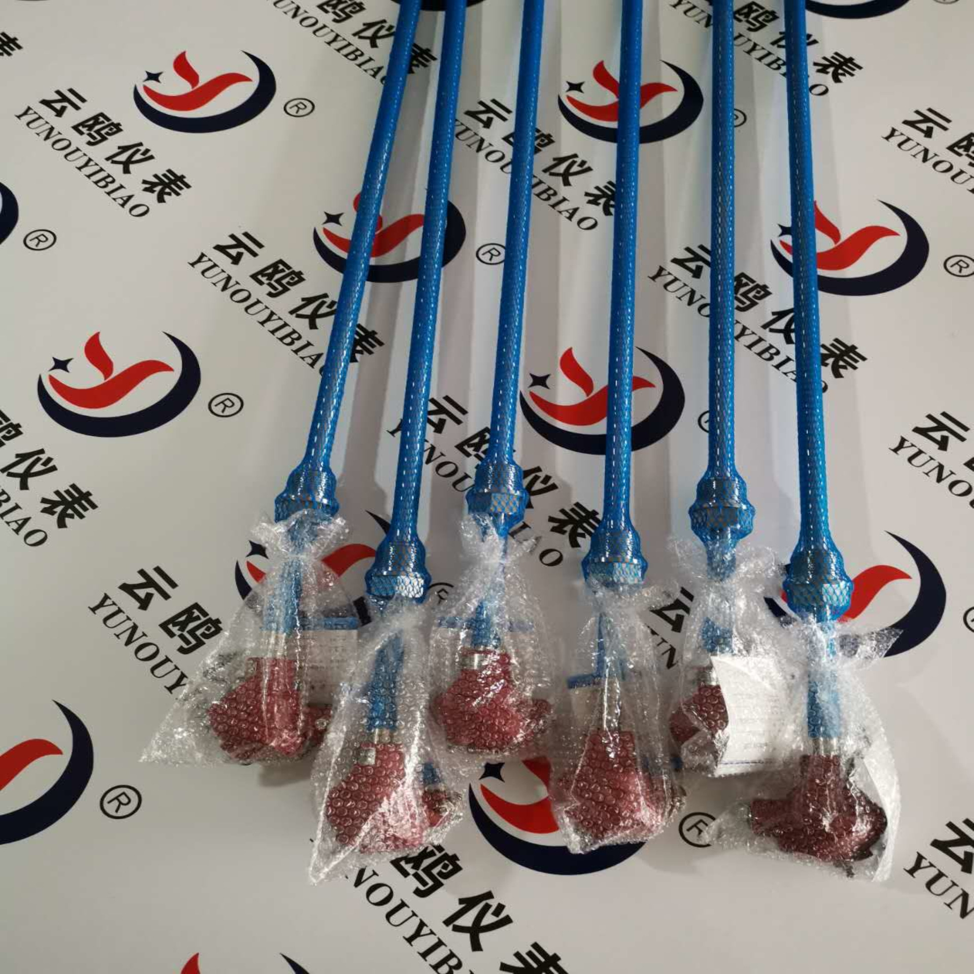 WZC-221G热电阻PT100WZP2-320G/WZP-631带护套型热电阻