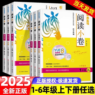 2025木头马阅读小卷ab版一二年级三四五六年级上册下册小学语文英语全国通用人教提升天天练阅读理解专项强化训练书AB试子力测评