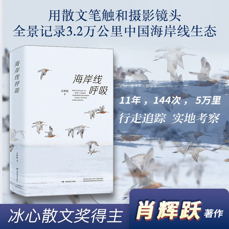 海岸线呼吸行走5万里海岸线观鸟，肖辉跃用优美的散文呈现海岸线生态之美观鸟自然人文散文艺术美学大海感受畅销书心灵治愈
