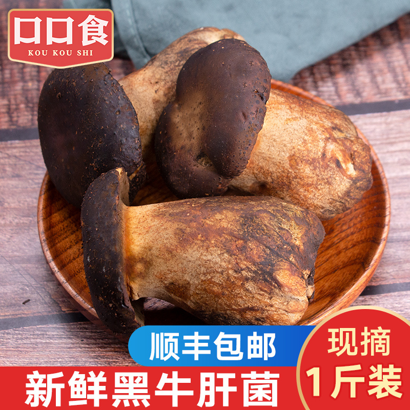 新鲜黑牛肝菌云南特产牛肝菌菇菌类非干货蘑菇牛肝菌500g煲汤食材