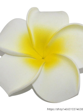 4/5/6/7/8/9/11mPE鸡蛋花泳装新娘泡沫花发饰材料