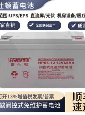 铅酸蓄电池NP100-12V100AH65AH38AH24AH17AH120AH150Ah200A