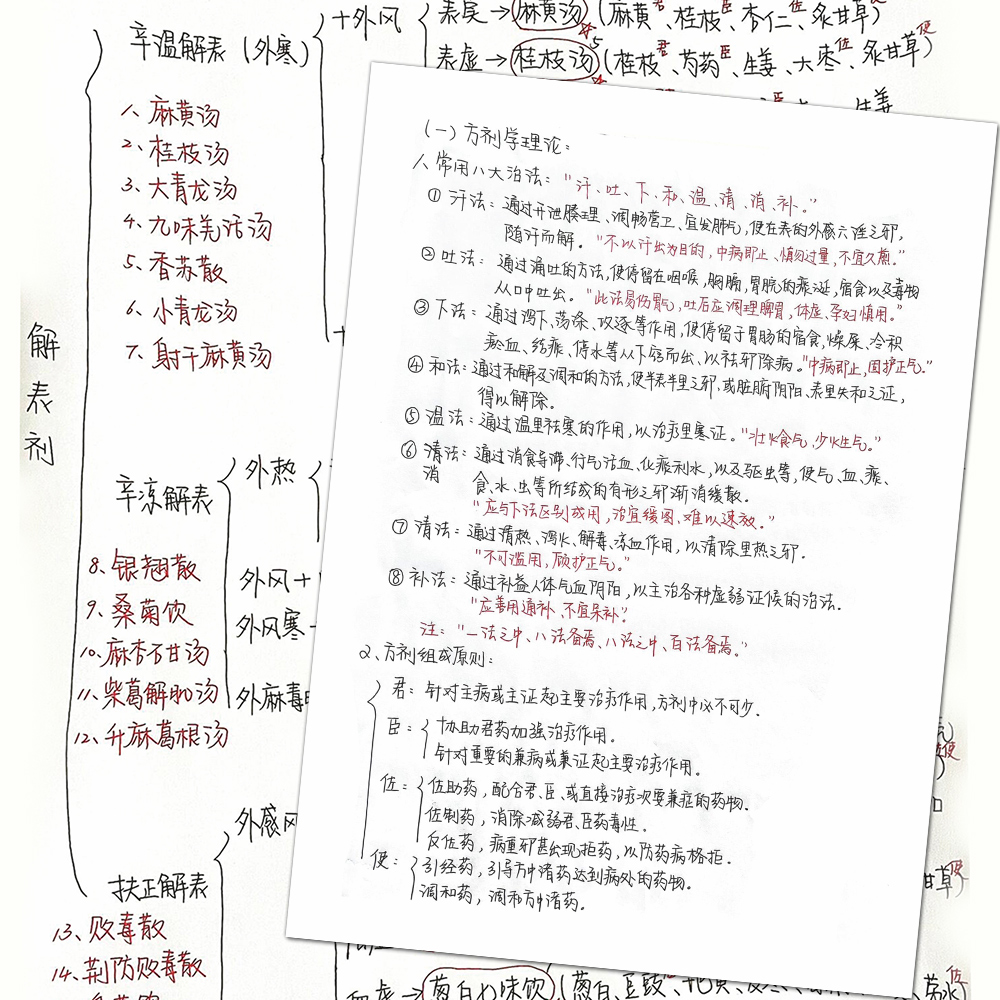 24张中医传承方剂学笔记贴纸详细手写方剂学笔记整理汇总自粘桌面