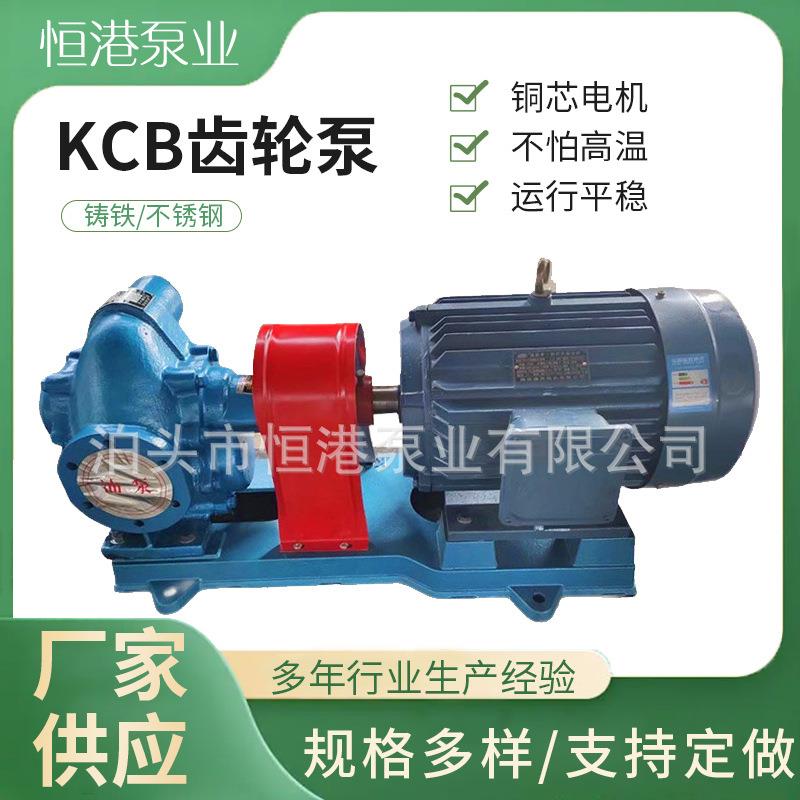 KCB不锈钢齿轮泵香油麻汁输送泵304材质酸性液体输送齿轮油泵