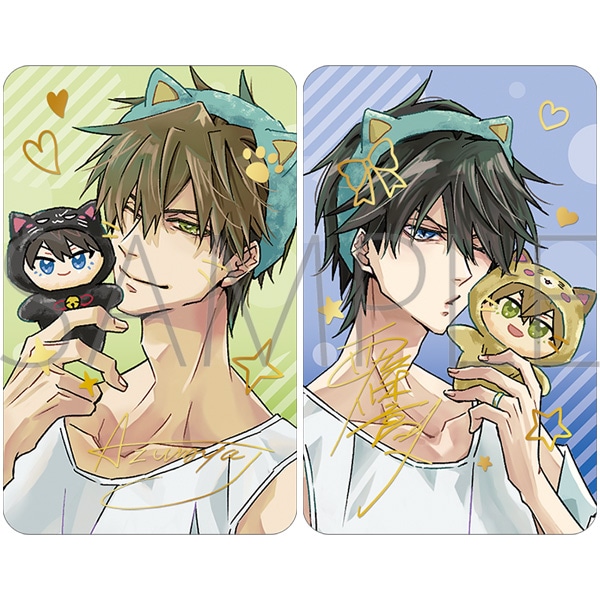 【次研屋预售】Movic 抱胁 和玩偶一起 箔押卡片套组 卡套挂件