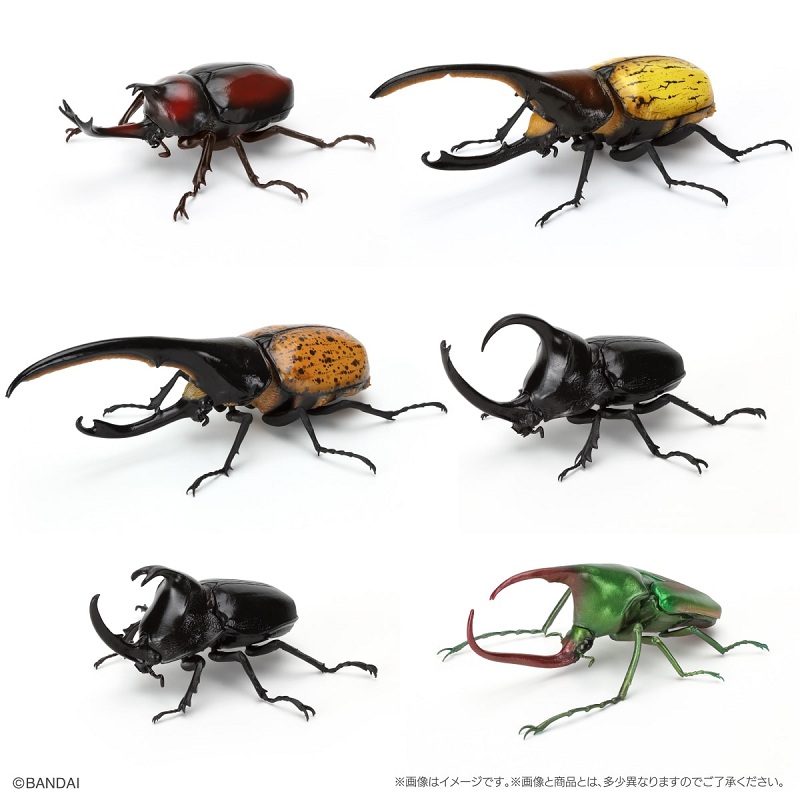 [预售]扭蛋生物大图鉴模型