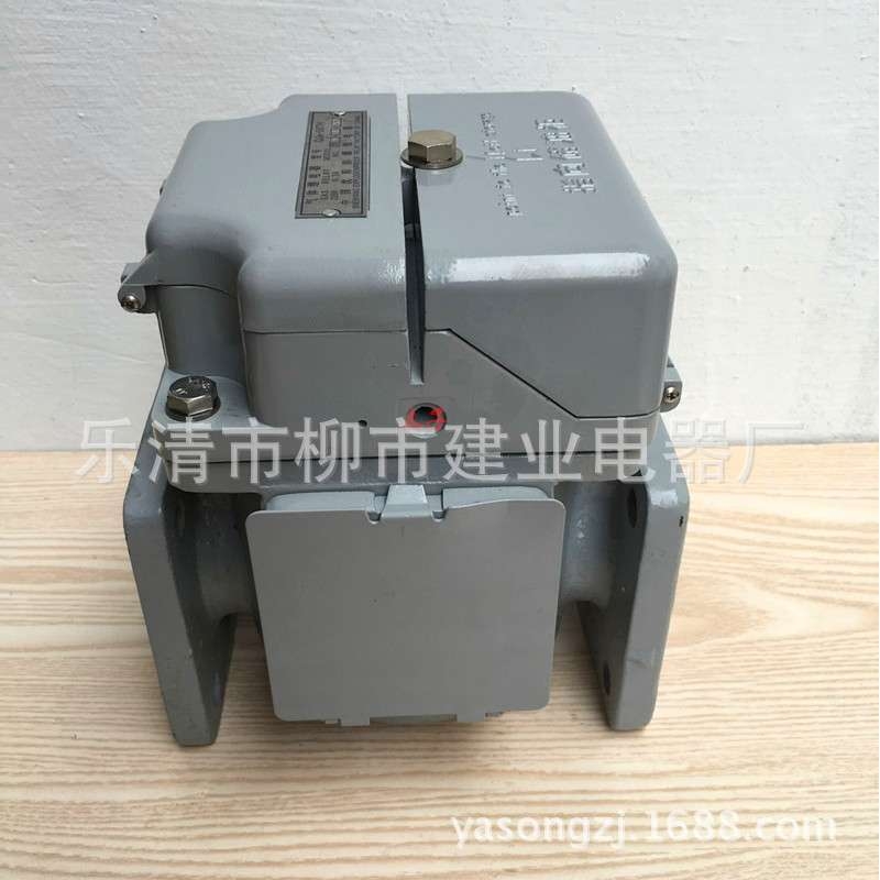 变压器气体继电器 QJ4-50TH QJ1-50电力瓦斯继电器 主气体继电器