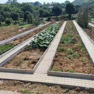 2026菜沟板成品沿路菜地沟板菜园花园果园水泥围栏混凝土沟槽大量