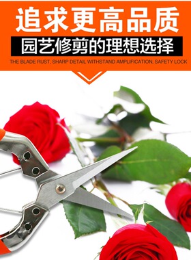 KOTESO开拓者KT110摘果剪 稀果剪 采果剪 疏花剪直头长刃果树剪