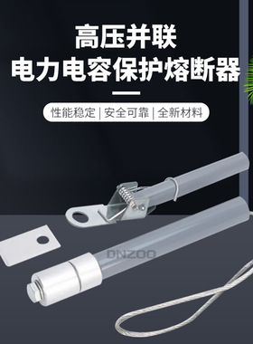 BR2 BRW BRN-10/120A 150A 160A 200A电力电容器保护高压熔断器