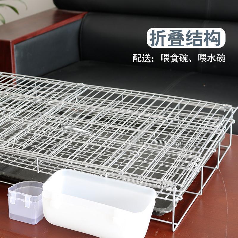 大号加粗鸽子用品用具12位16位养殖鸽子笼信鸽配对笼肉鸽繁殖直销