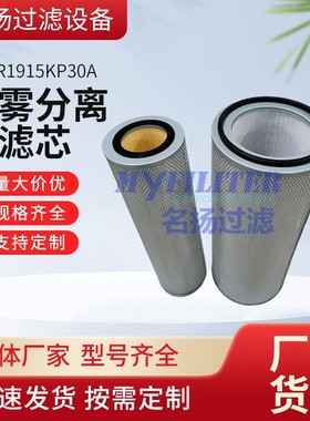 供应VER1915KP30A VER4900KS30A 油雾风机分离器滤芯