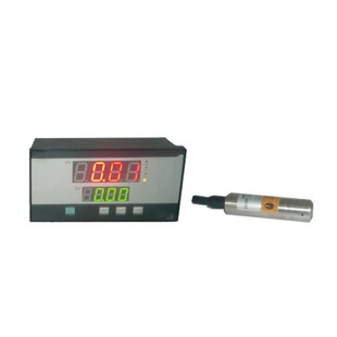 XMTL 在线防雷水位仪 型号 ZXSWJ 库号：M409128