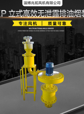 立式GXP-ll-25无泄露排油烟装置 低噪抽吸油烟风机