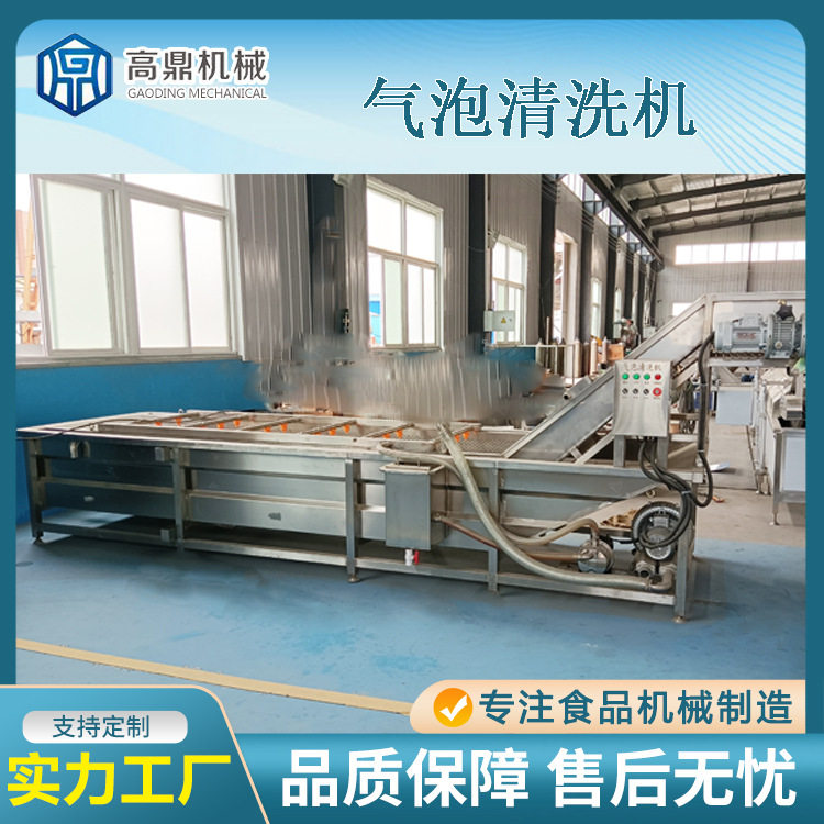 洗萝卜机械工厂用净菜清洗机蔬菜水果清洗流水线不锈钢气泡鲜果