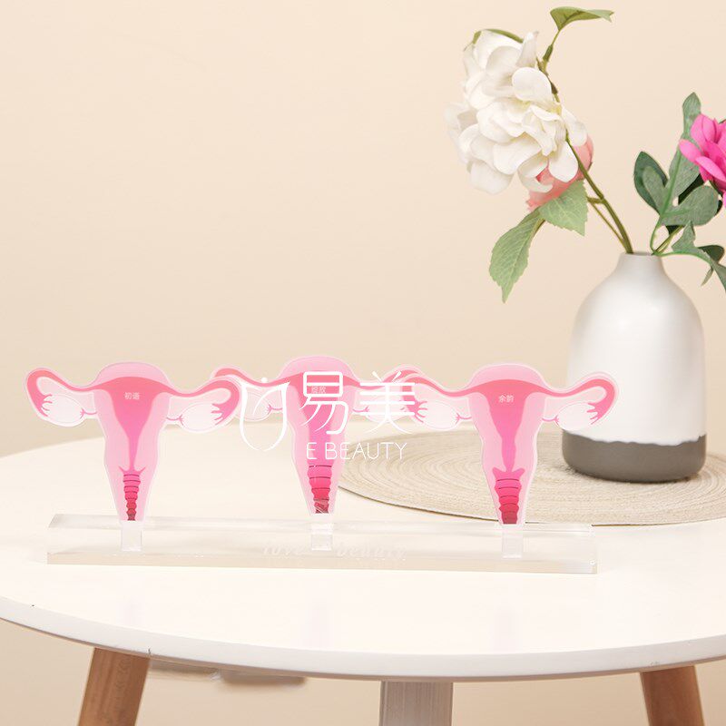 女性一探究竟子宫变m迁模型指尖密境青春悄逝月子会所摆件沙龙布