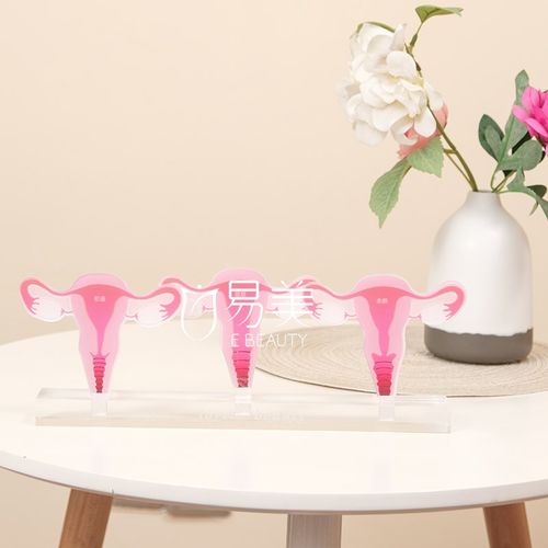 女性一探究竟子宫变m迁模型指尖密境青春悄逝月子会所摆件沙龙布