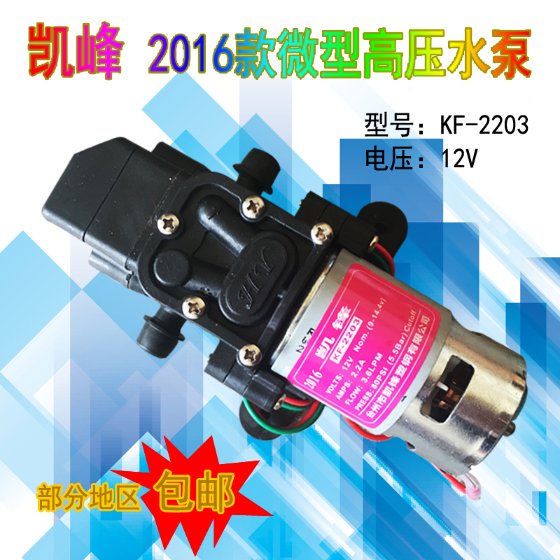 智能压力泵电动喷雾器12V水泵打C药机电机高压隔膜泵洗车马达包邮