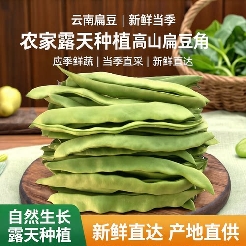 云南扁豆当季新鲜蔬菜应季菜批发