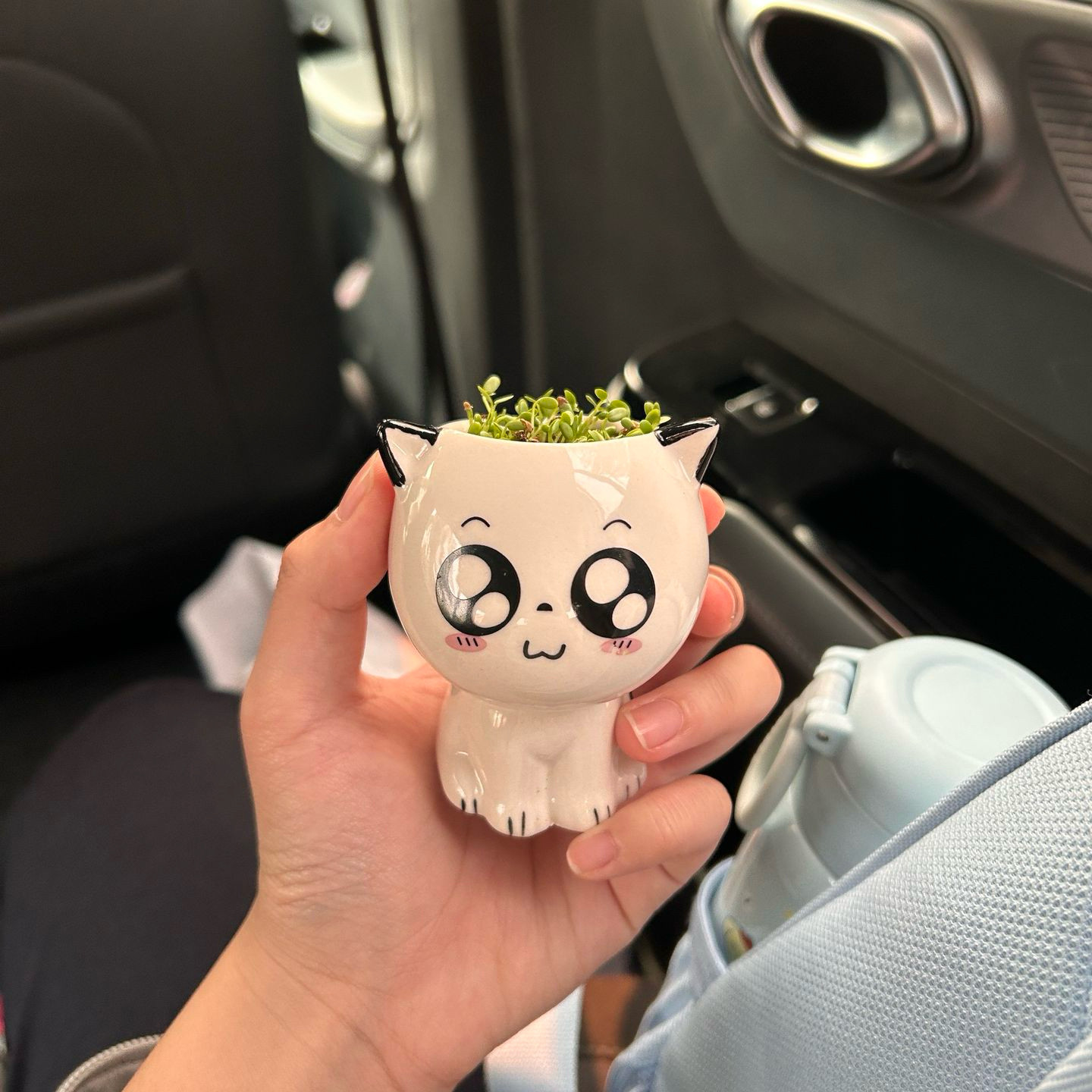 可爱猫咪小草盆栽陶瓷种植套装多功能大眼睛超萌摆件种植小盆栽