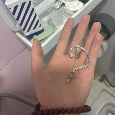 轻奢耳饰穿刺耳针毛绒四芒星新款小众设计蛇型耳钉耳挂男女同款