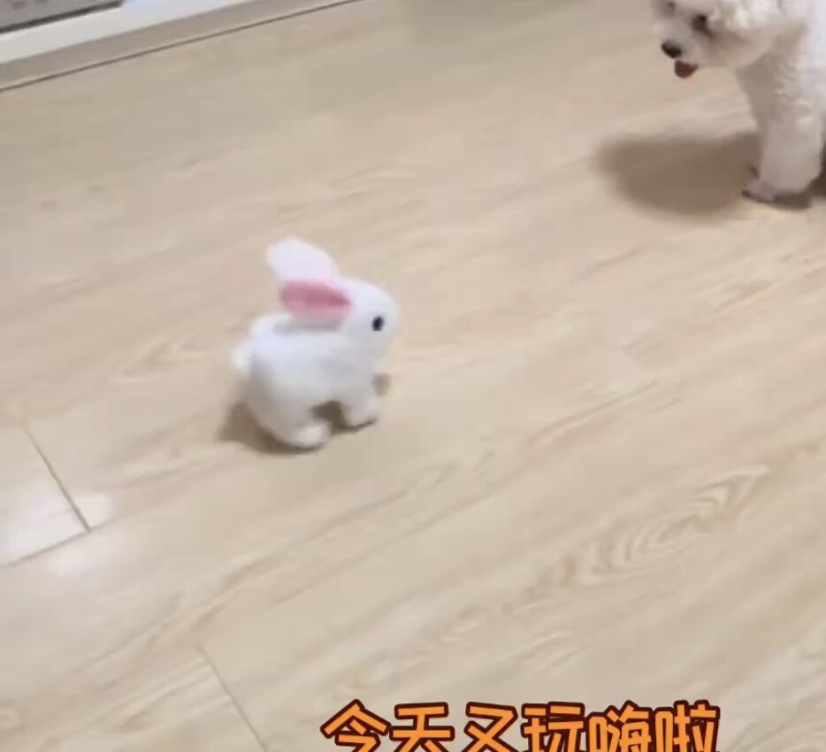 新款创意电动毛绒小兔子玩具儿童仿真会叫会走路宝宝宠物跳跳兔