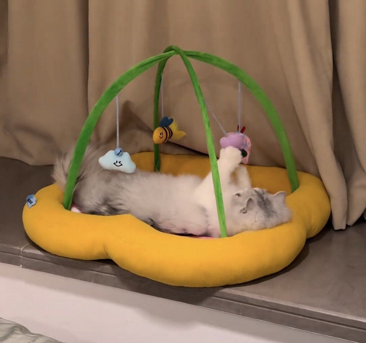 四季通用猫咪玩具猫窝逗猫棒幼猫自嗨解闷帐篷可拆洗宠物摇篮用品