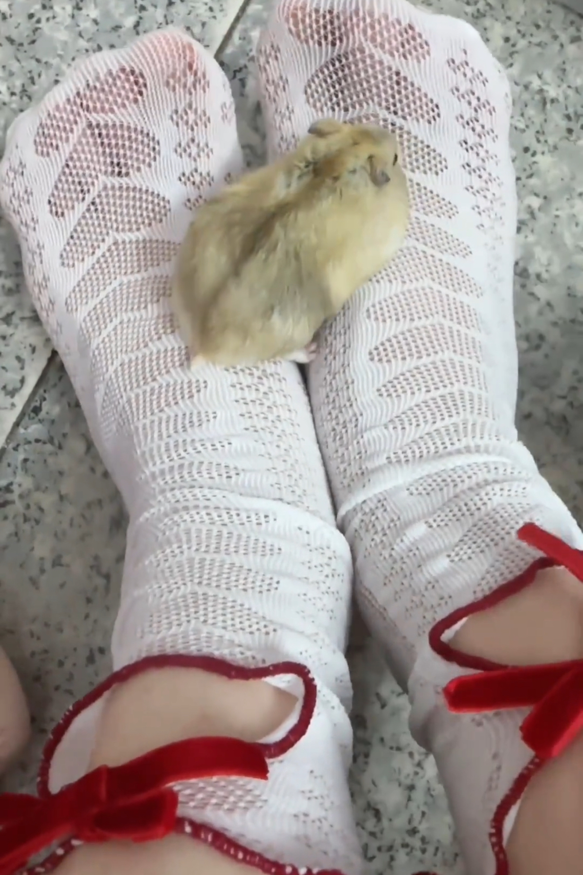 女童袜子夏季薄款jk可爱袜子洛丽塔镂空蝴蝶结中长筒花边宝宝长袜