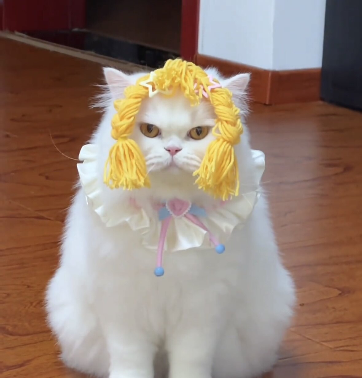 宠物头饰公主风蝴蝶结麻花辫猫咪狗搞怪可爱假发拍照cos装扮道具