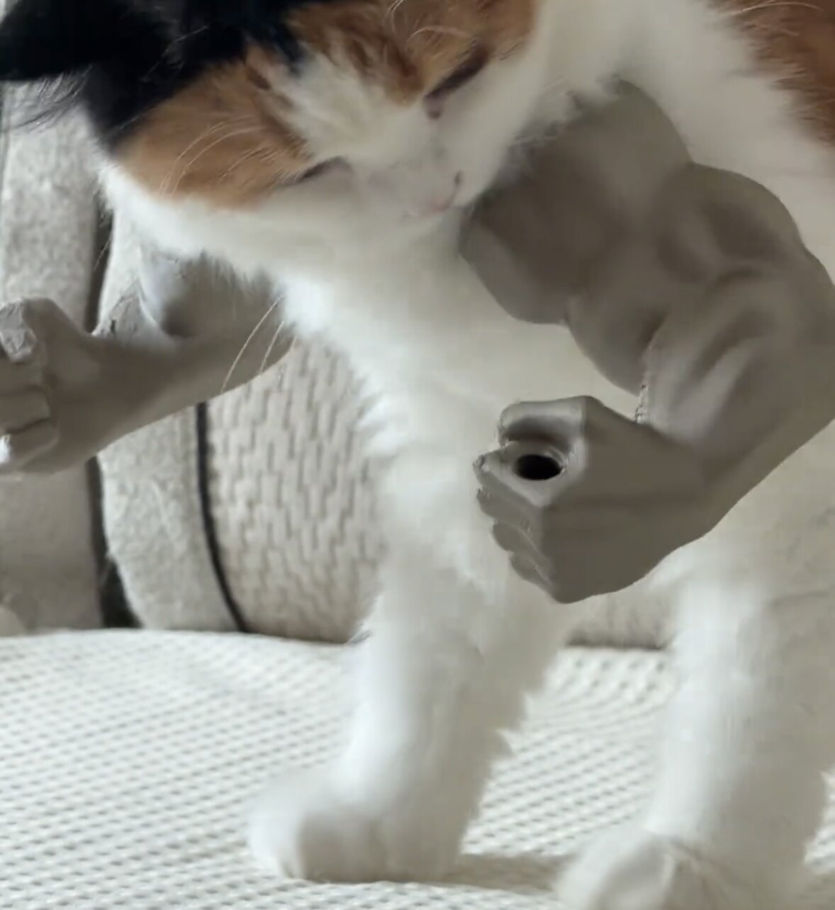猫咪肌肉手臂3d打印挂颈整人恶搞宠物中指狗狗解压有趣创意玩具