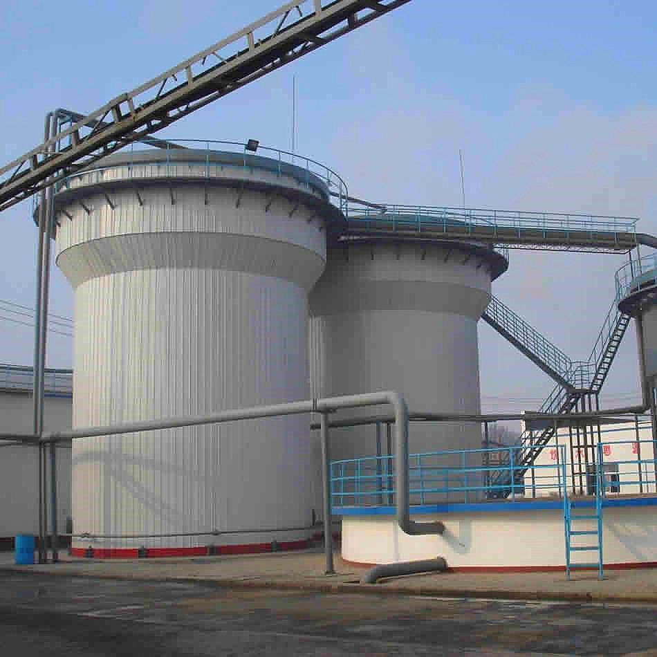 厌氧反应高浓度污LZYY-1水器处理设备 厌氧罐家现 场制厂作