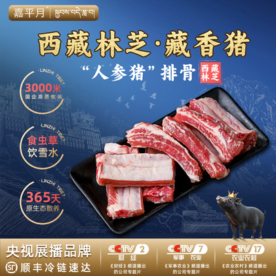 藏香猪排骨新鲜肋排黑猪肉土猪肉