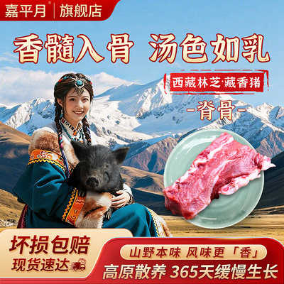 藏香猪脊骨龙骨新鲜猪脊骨炖汤