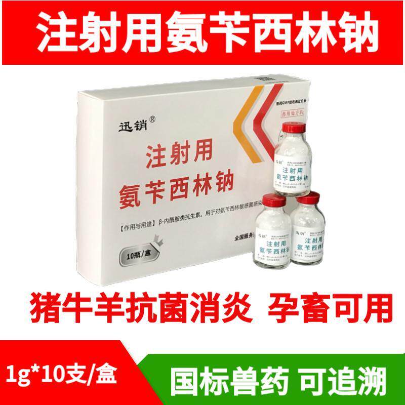 兽药兽用1克注射用氨苄西林钠猪牛羊肠炎腹泻咳嗽呼吸泌尿道消炎