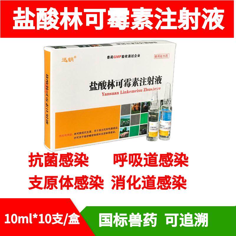 林可霉素注射液兽用益母产后康兽药猪药牛羊用呼吸道母猪消炎针剂