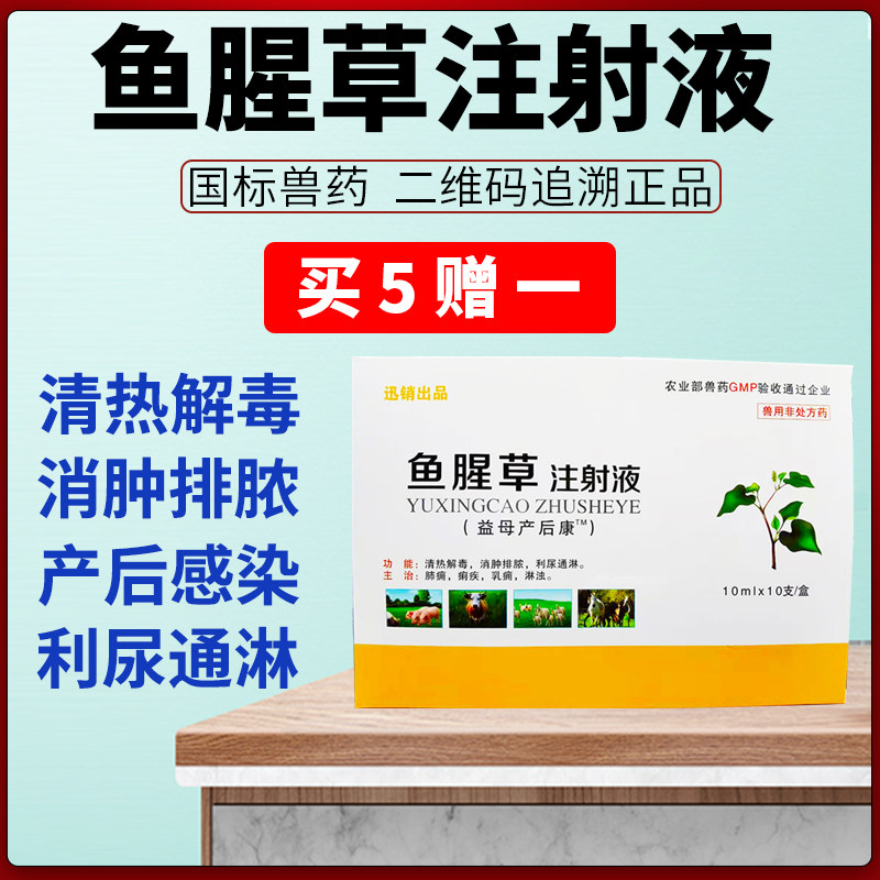 迅销兽药鱼腥草注射液兽用猪药兔牛羊药利尿通淋消肿排脓产后康