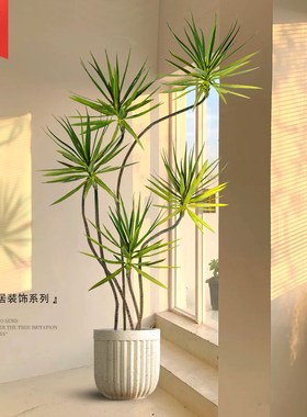 大型落地摆件客厅轻奢高档家居饰品龙血树仿真绿S植玄关装饰品摆