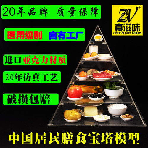 新版中国居民膳食宝塔模型仿真z食物平衡营养金字塔交换份展示道